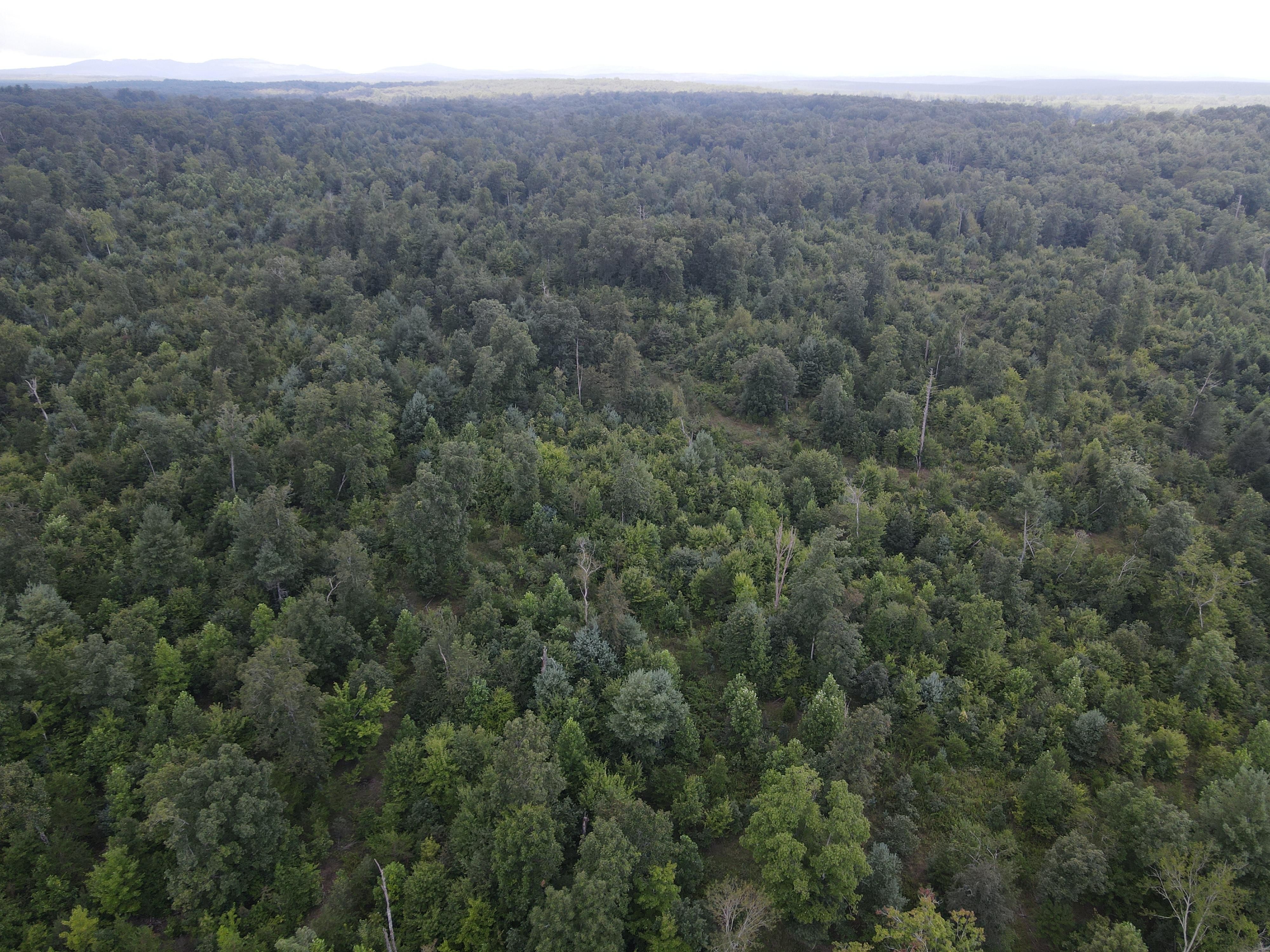 Evensville, Rhea County, TN Recreational Property, Undeveloped Land for