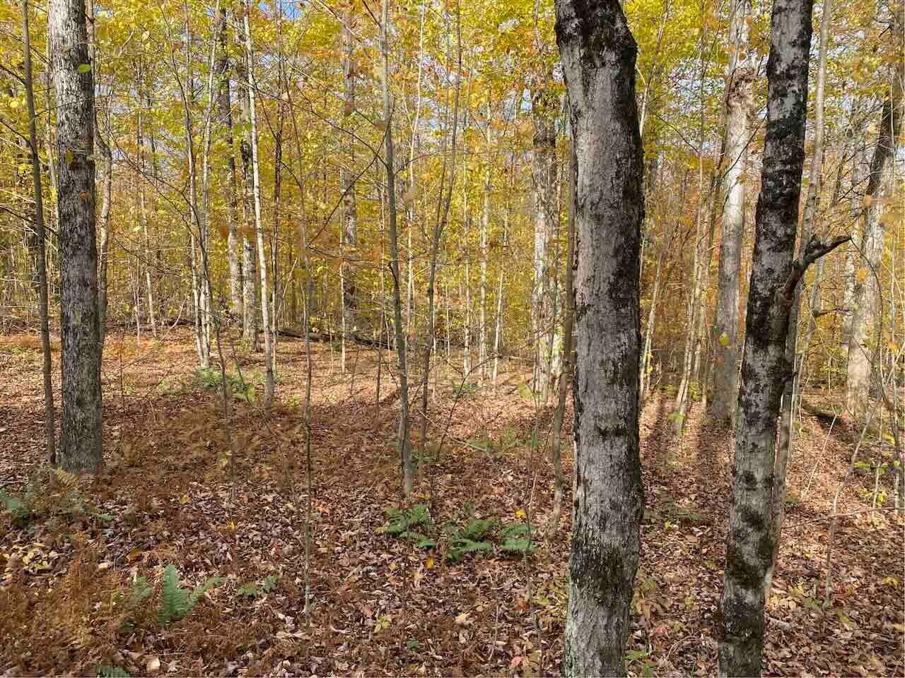 Angelica, Allegany County, NY Recreational Property, Hunting Property
