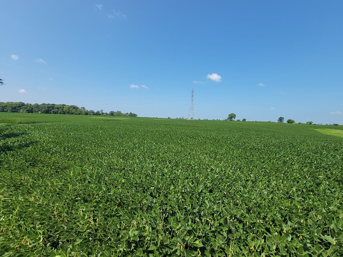 2160 Indiana 252, Cedar Grove, IN 47016 LandWatch