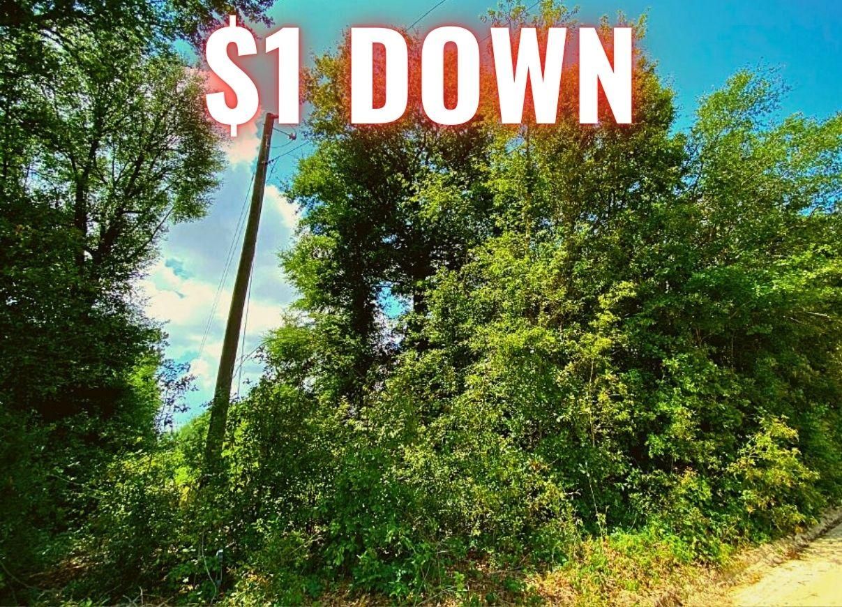 Bainbridge, Decatur County, GA Undeveloped Land, Homesites for sale