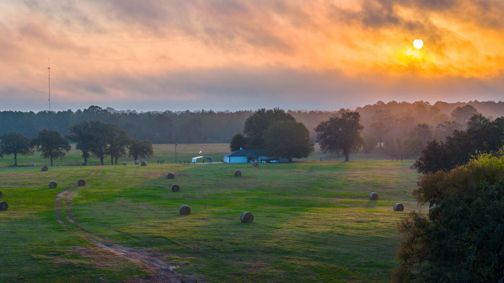 599 ACR 387, Palestine, TX 75801 MLS Exquisite 171.275 Acre Anderson