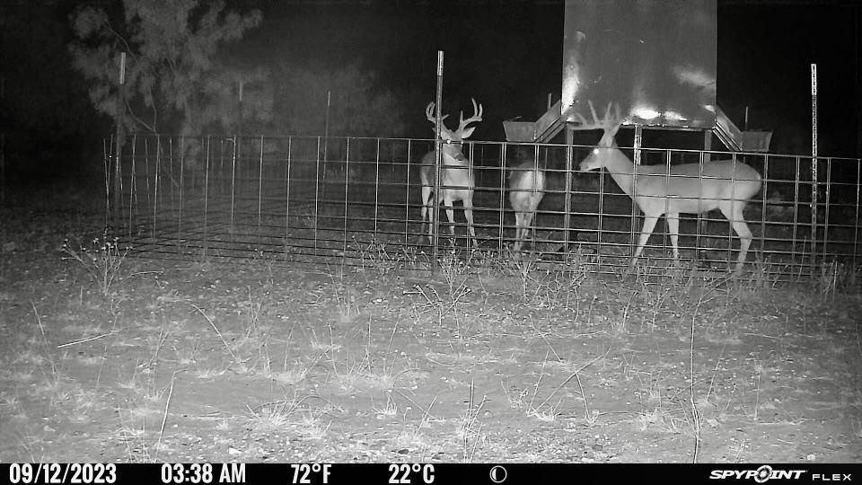 Mullin, Mills County, TX Farms and Ranches, Recreational Property
