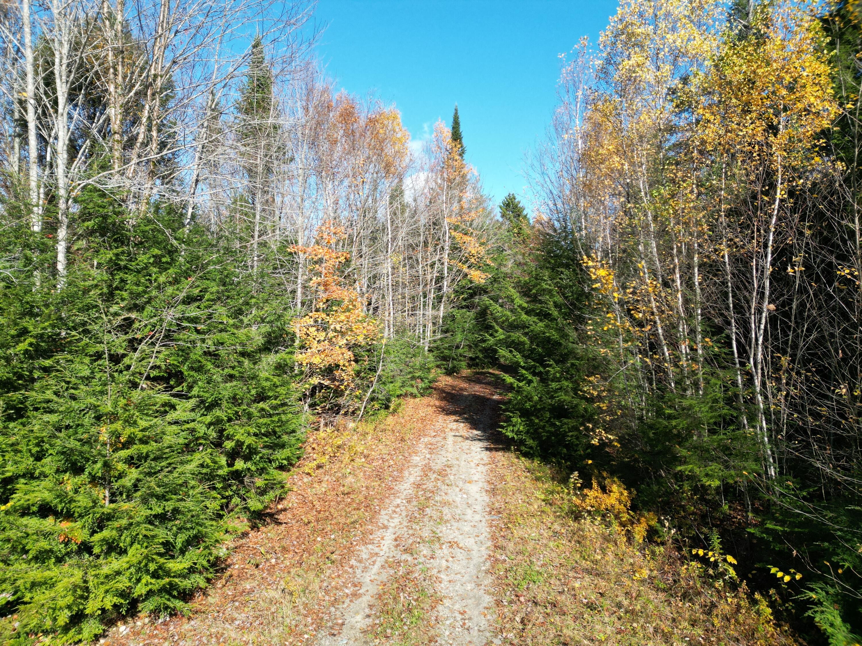 Woodville, Penobscot County, ME Undeveloped Land for sale Property ID