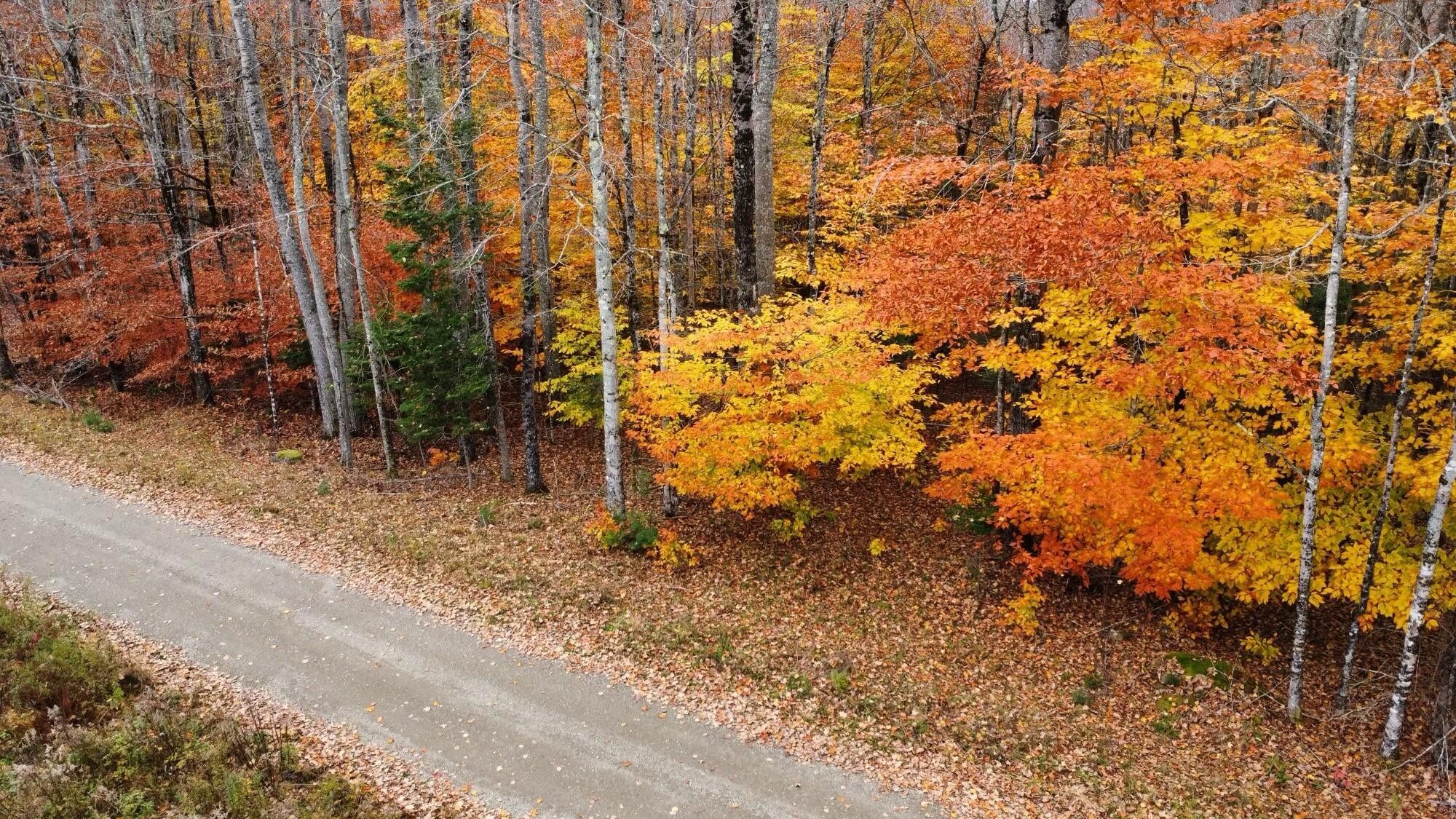 Thorndike, Waldo County, ME Undeveloped Land, Homesites for sale Property ID 418091575 LandWatch