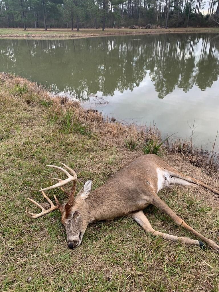 Arlington, Calhoun County, GA Recreational Property, Timberland