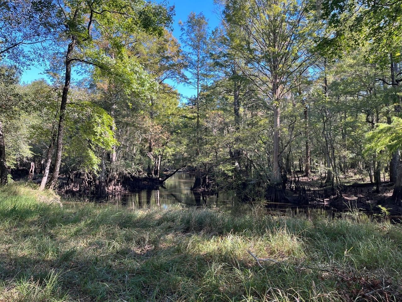 Soperton, Emanuel County, GA Recreational Property, Hunting Property