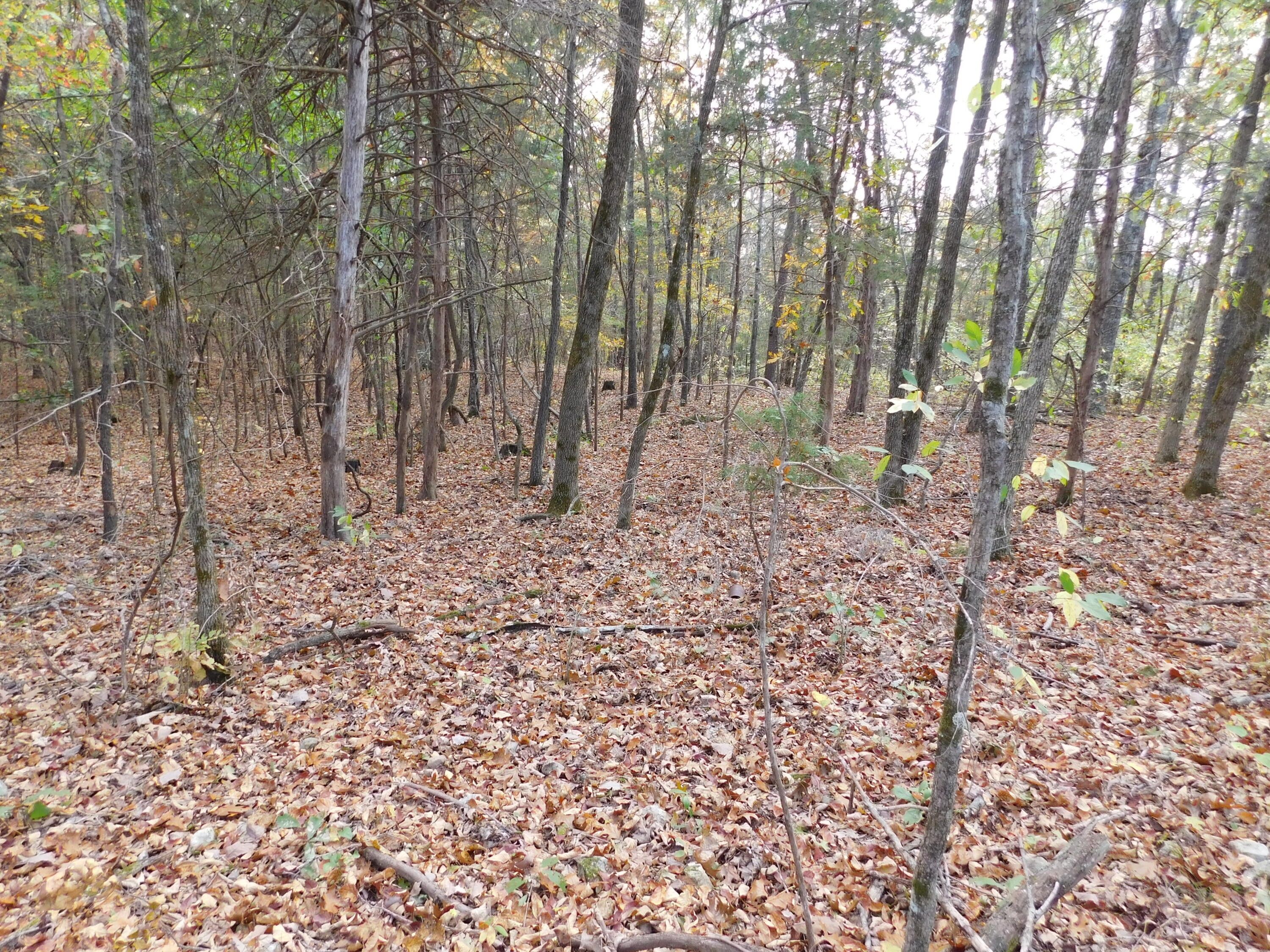 Jasper, Newton County, AR Undeveloped Land for sale Property ID