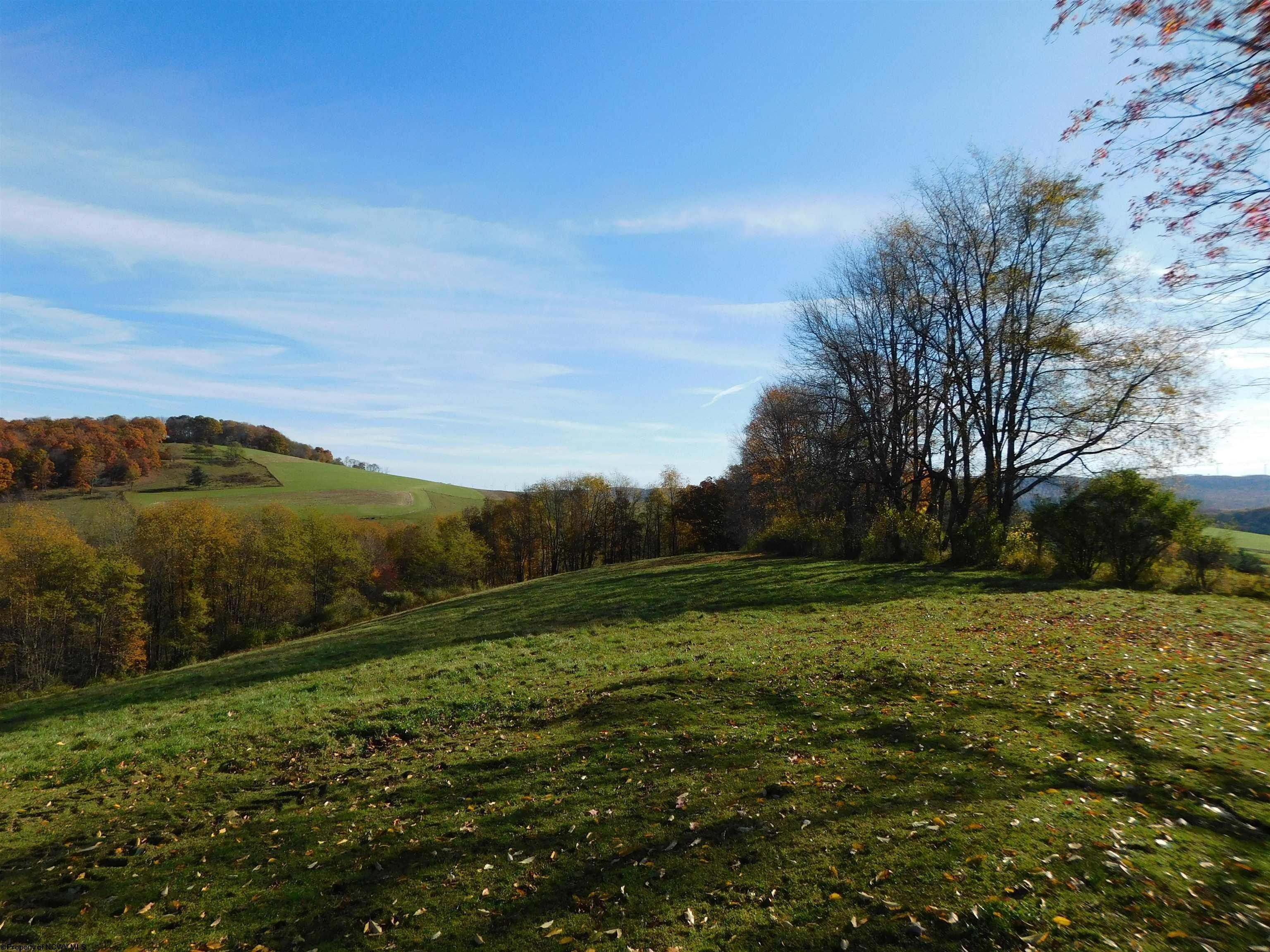 Eglon, Preston County, WV Farms and Ranches for sale Property ID