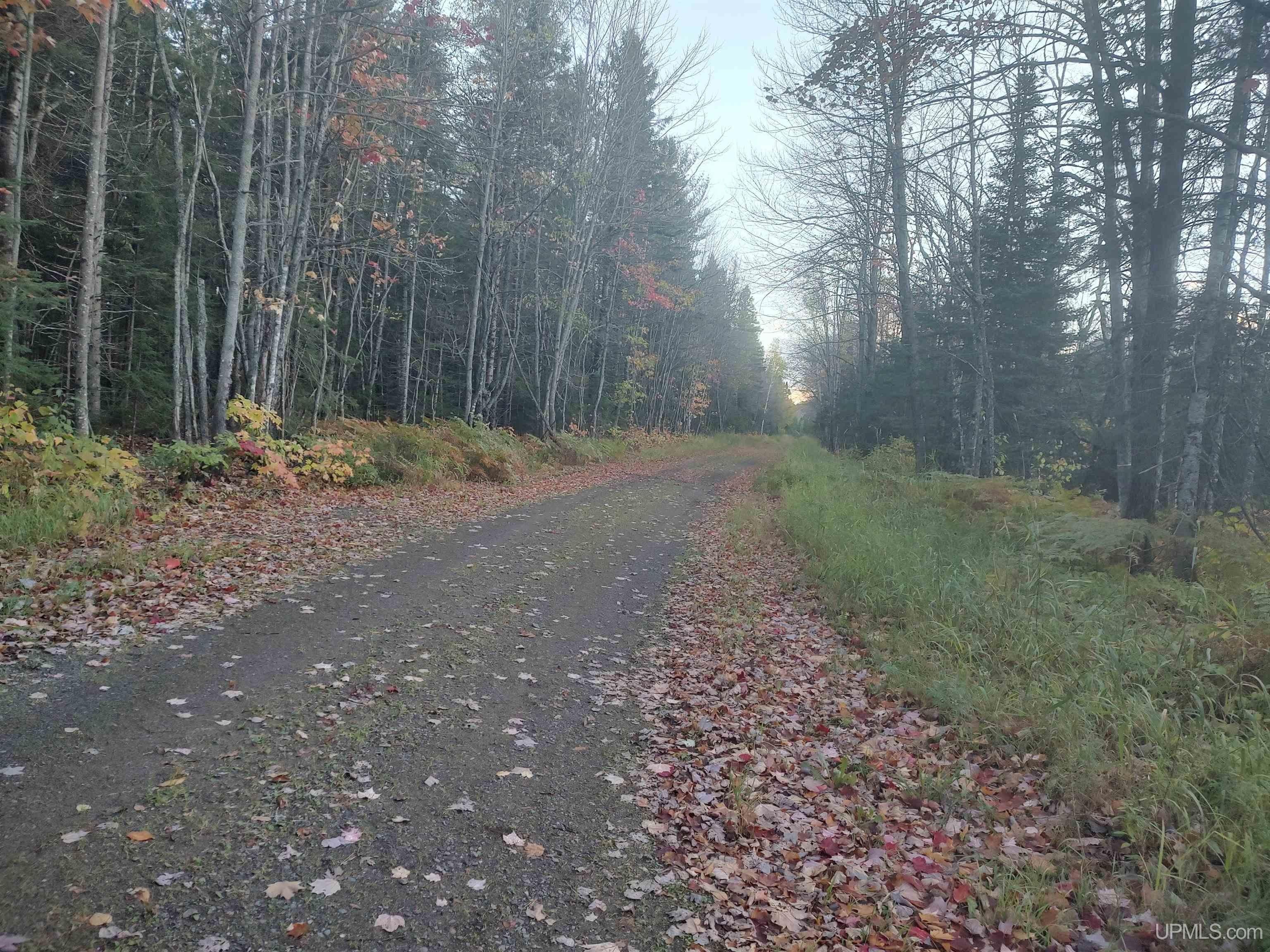 L'Anse, Baraga County, MI Undeveloped Land for sale Property ID