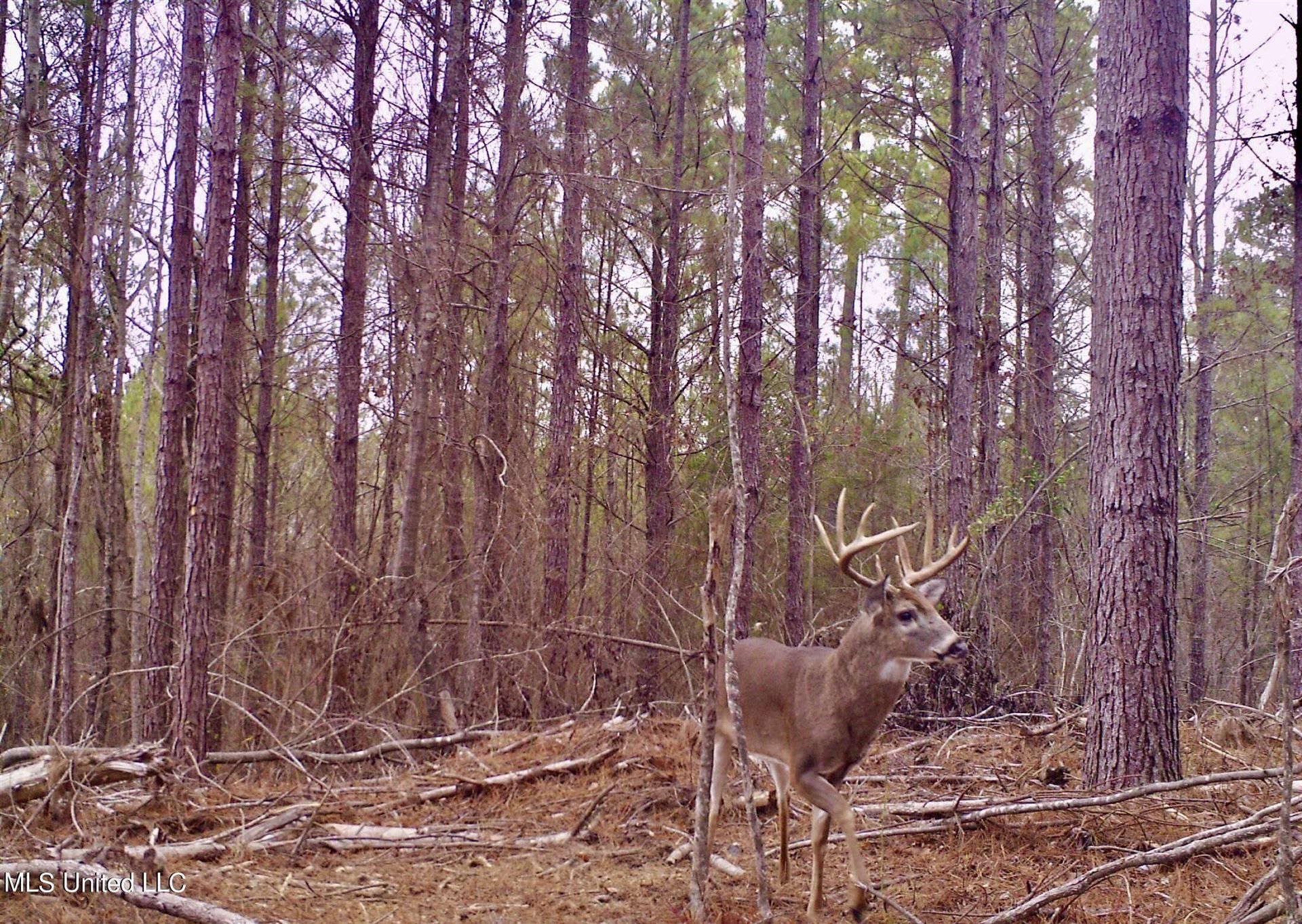 HWY 17, Lexington, MS 39095 MLS 4062337 LandWatch