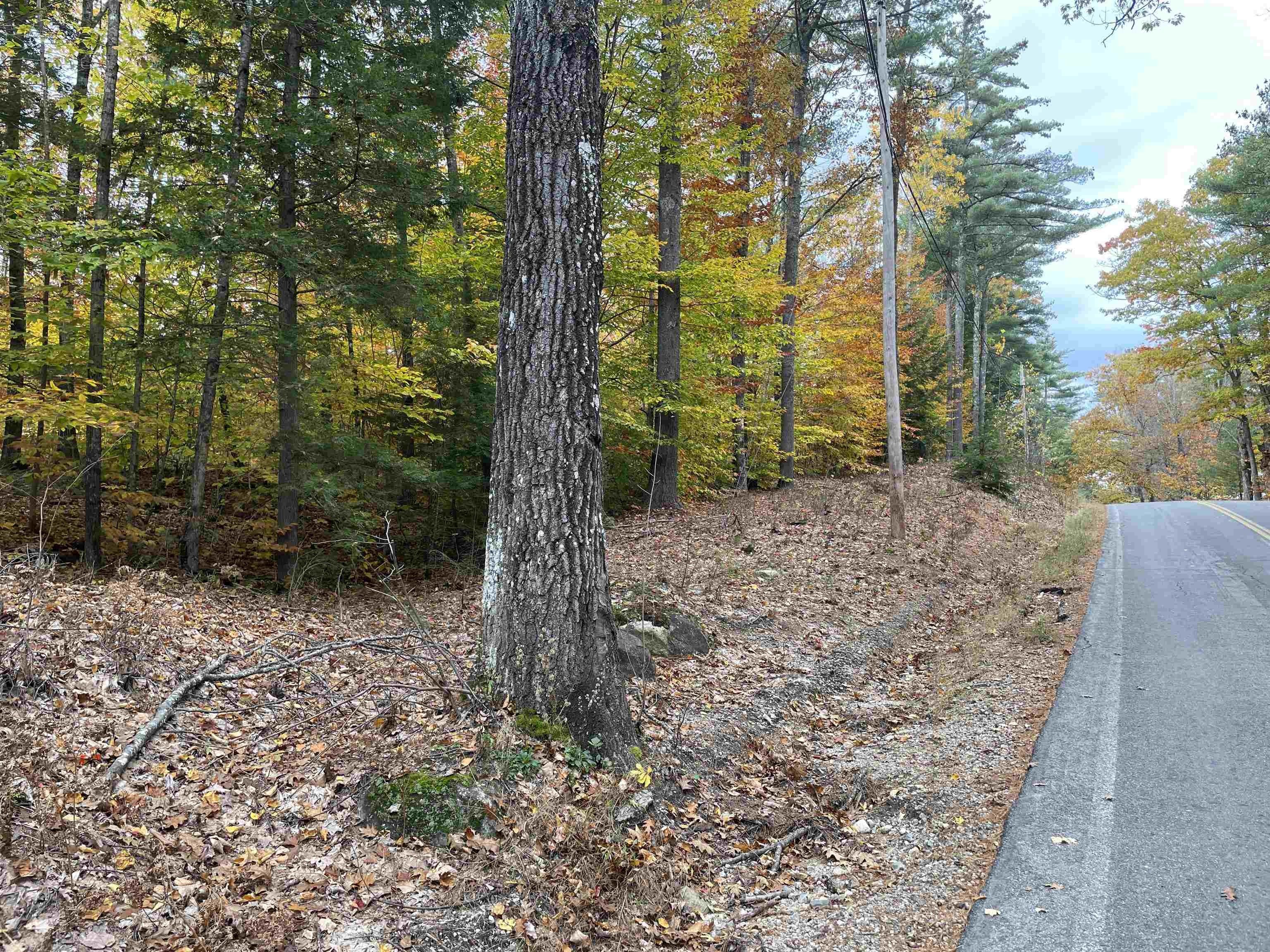 Ossipee, Carroll County, NH Undeveloped Land for sale Property ID