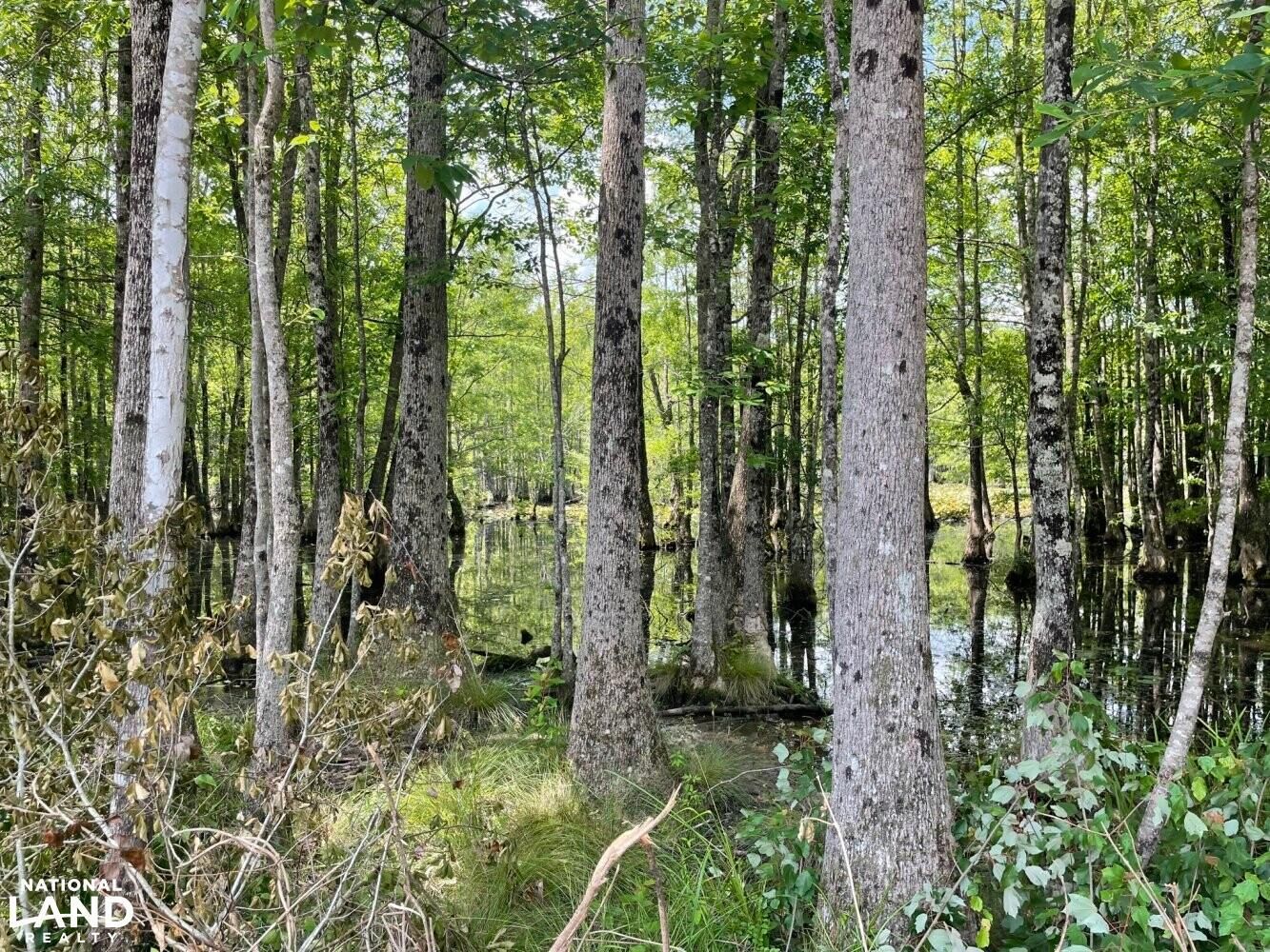 0 Mud Creek Road, Millport, AL 35576 LandWatch