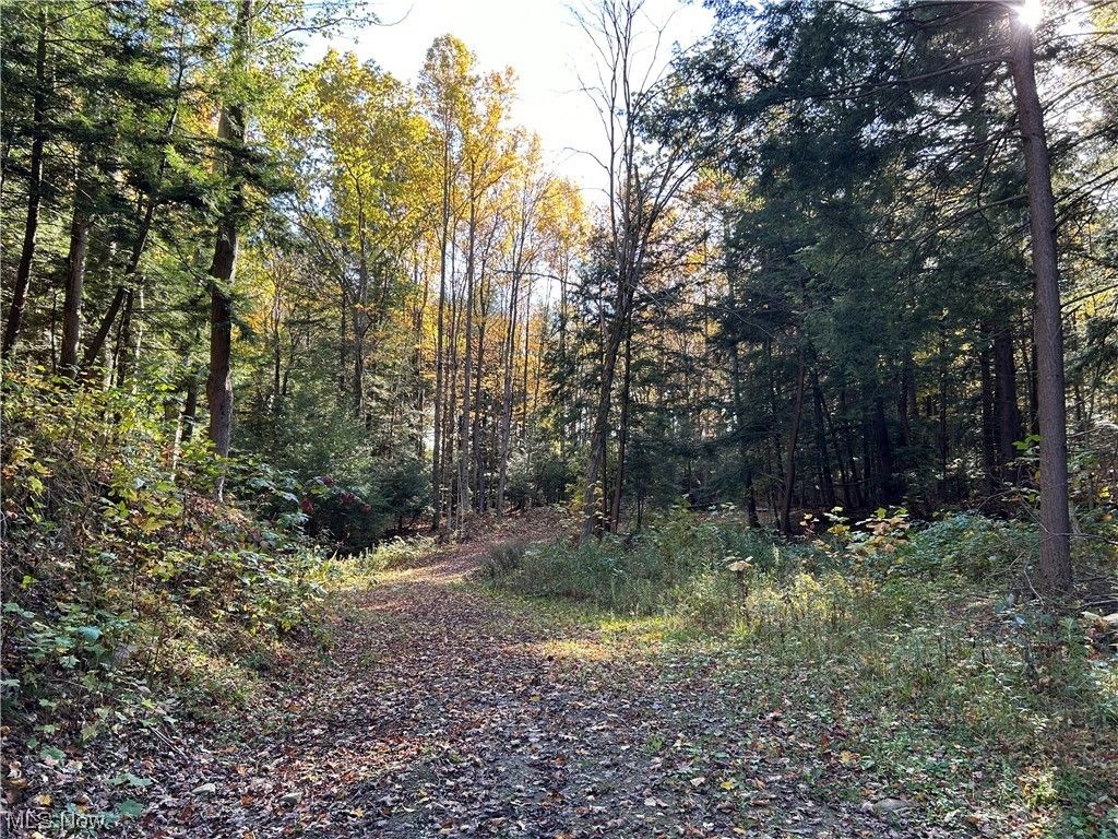 Conneaut, Ashtabula County, OH Undeveloped Land for sale Property ID