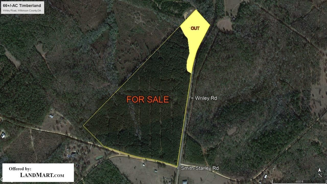 McIntyre, Wilkinson County, GA Recreational Property, Timberland
