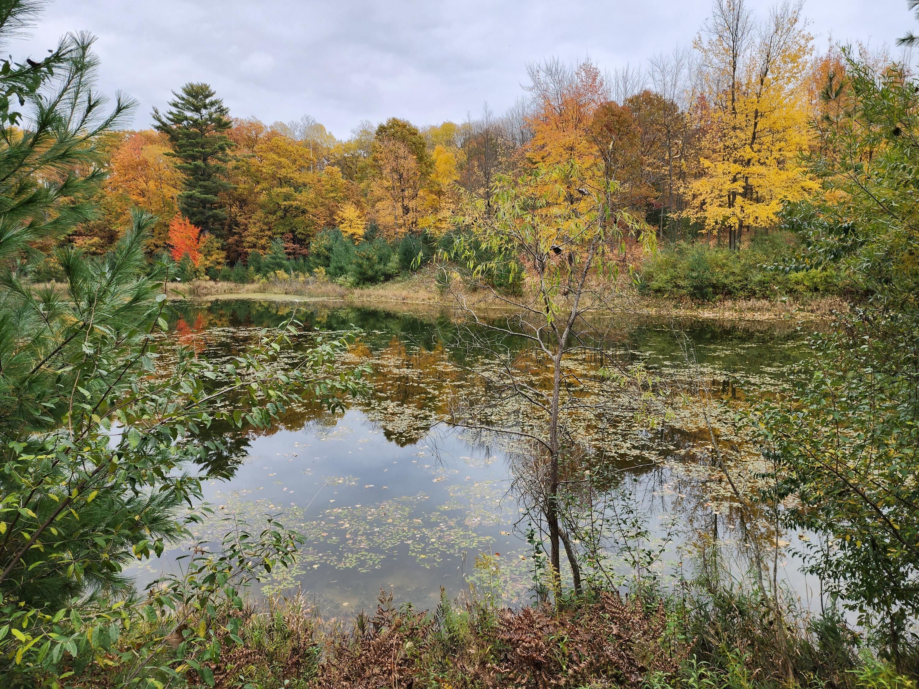 Stanwood, Mecosta County, MI Lakefront Property, Waterfront Property