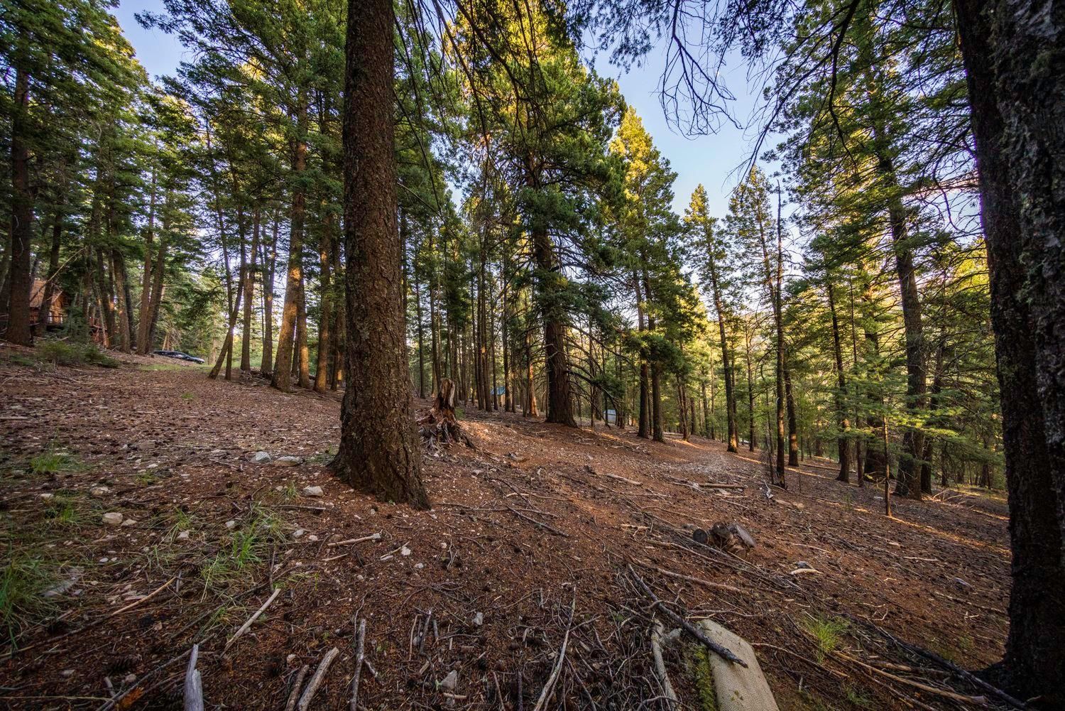 Cloudcroft, Otero County, NM Recreational Property, Undeveloped Land