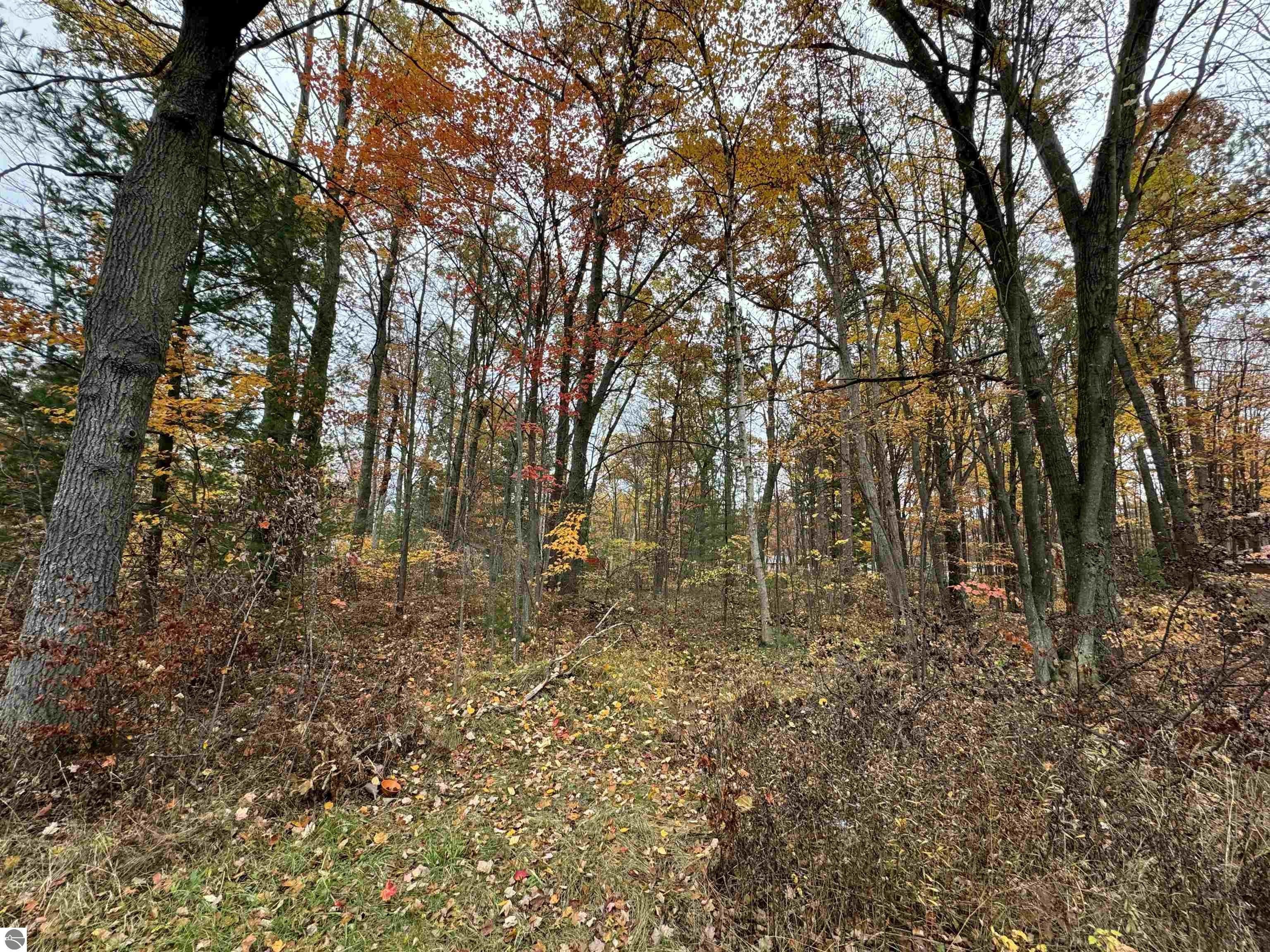 Prescott, Ogemaw County, MI Undeveloped Land, Homesites for sale