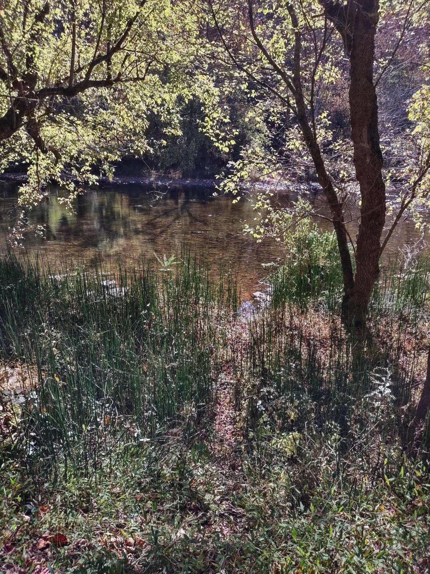 Lot 9 North Fork River Road, Abingdon, VA 24210 MLS 9958591 LandWatch