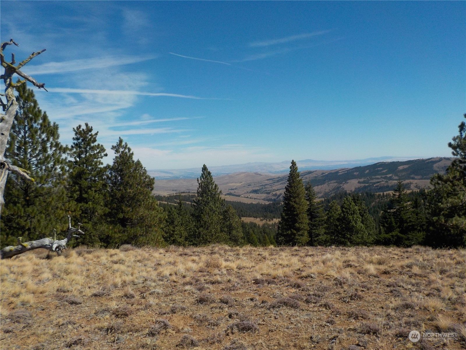 1 Nasty Creek Road, Yakima, WA 98901 MLS 2060145 LandWatch