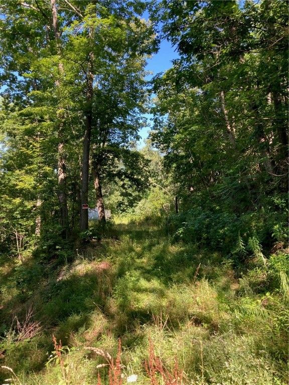Bath, Steuben County, NY Undeveloped Land, House for sale Property ID
