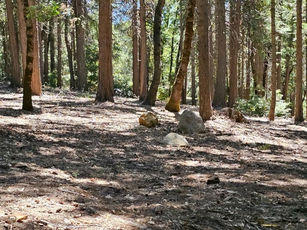 Nevada City, Nevada County, CA Undeveloped Land, Homesites for sale