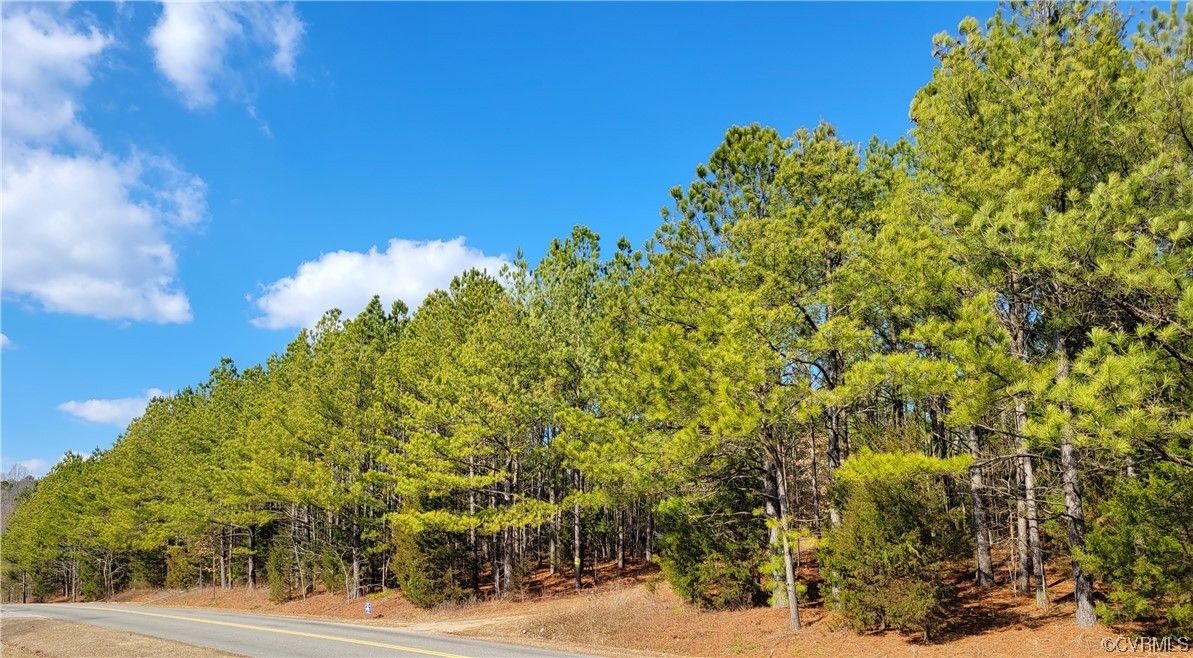 Dinwiddie, Dinwiddie County, VA Undeveloped Land, Lakefront Property