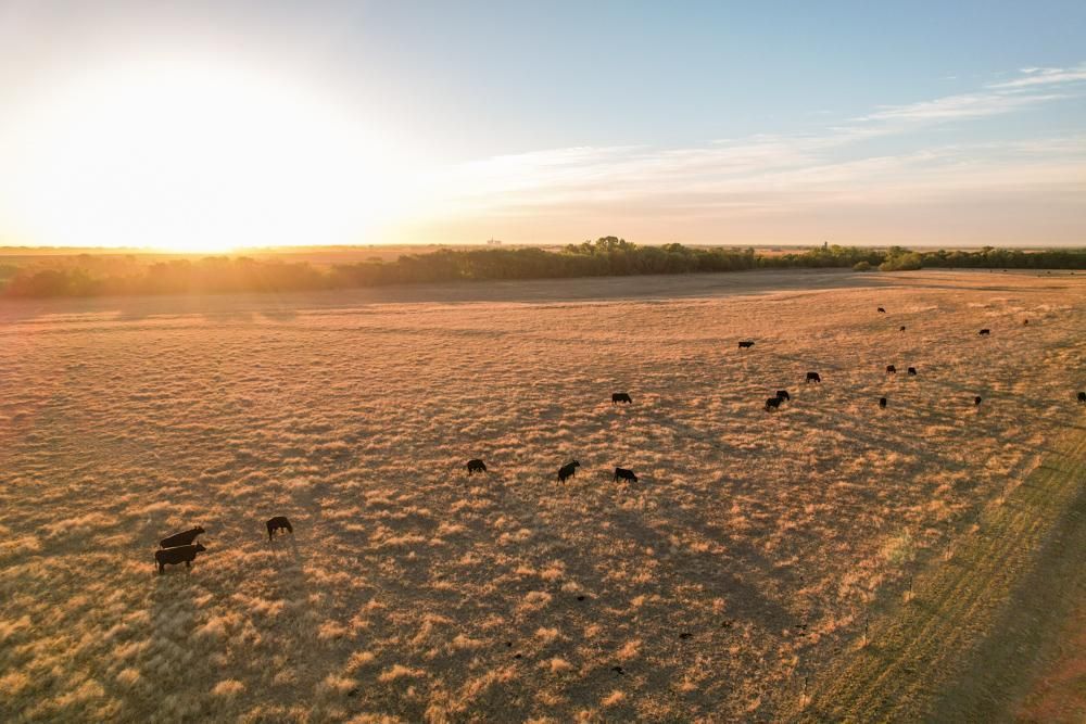 000 W 30th Ave N, Argonia, KS 67004 MLS Sumner 55 LandWatch