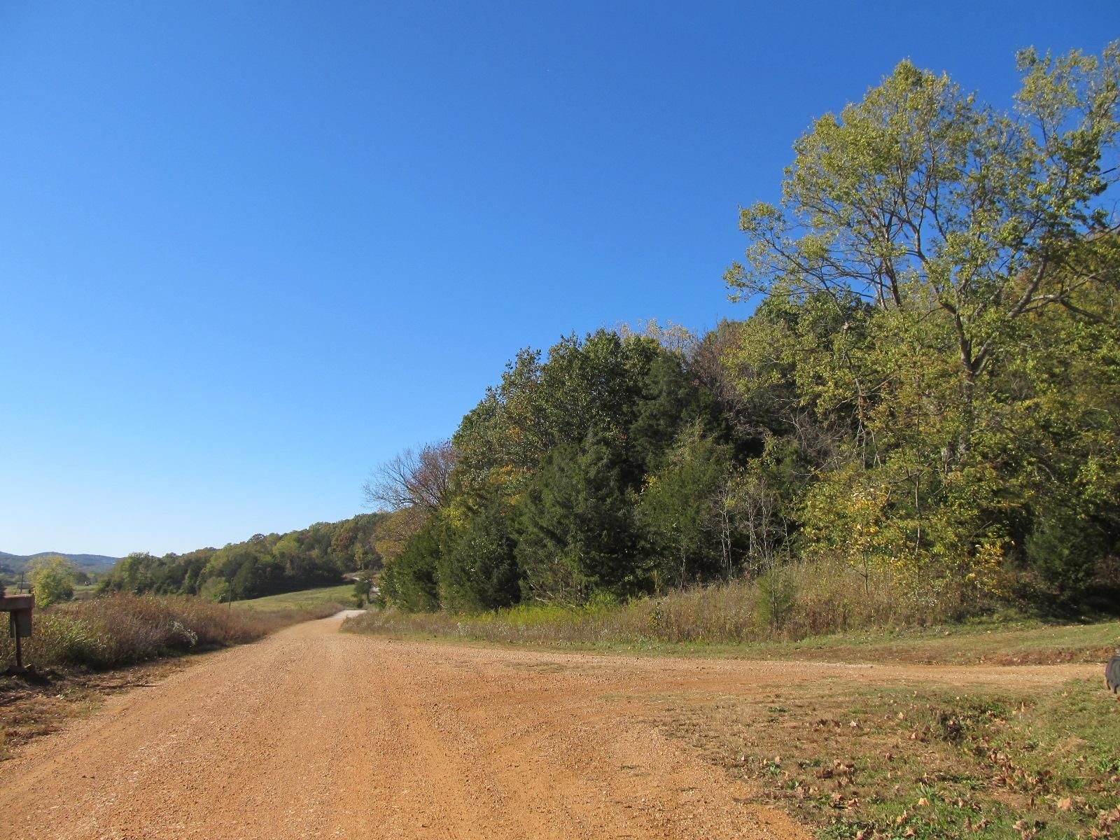 Huntsville, Madison County, AR Undeveloped Land, Hunting Property for