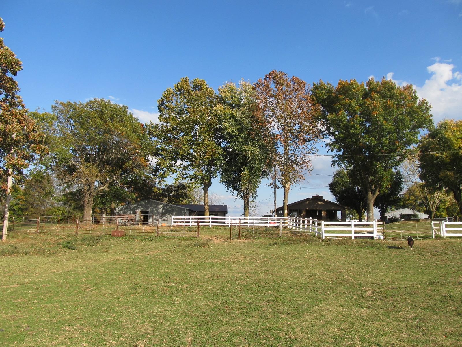 429 Madison 8110, Hindsville, AR 72738 LandWatch