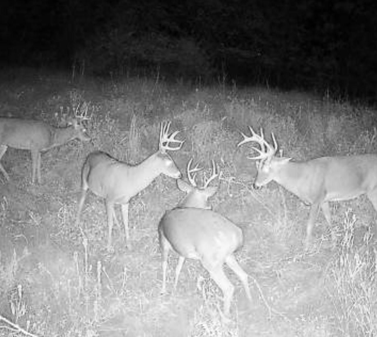 154 acres in Sharon, KS, 67138 LandWatch