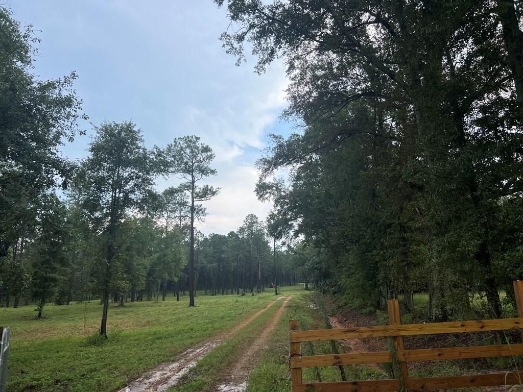 Whigham, Grady County, GA Recreational Property for sale Property ID 418110824 LandWatch