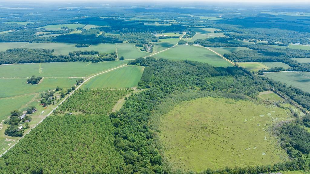 Coolidge, Thomas County, GA Recreational Property, Timberland Property