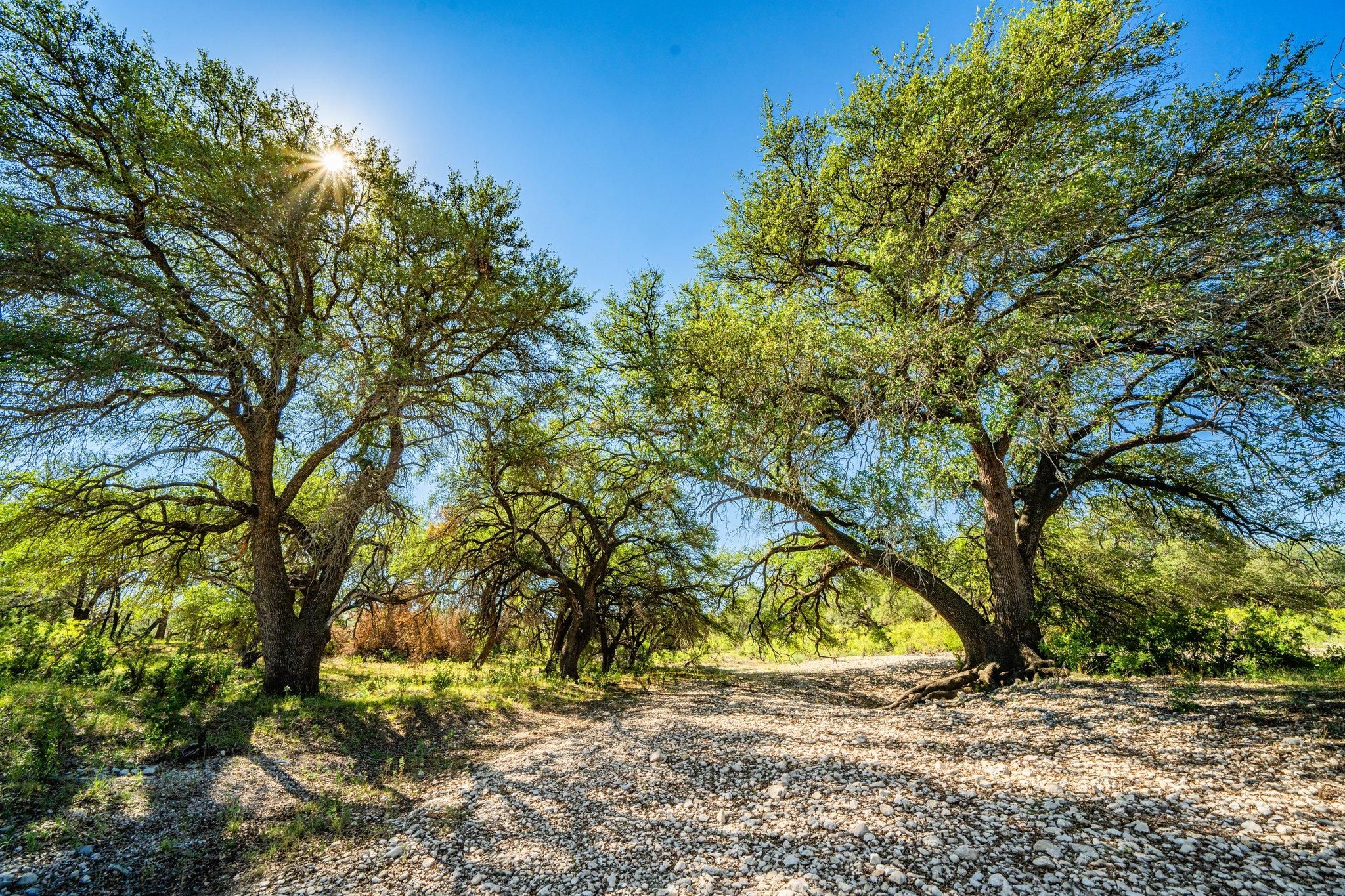 Sonora, Sutton County, TX Farms and Ranches, Recreational Property