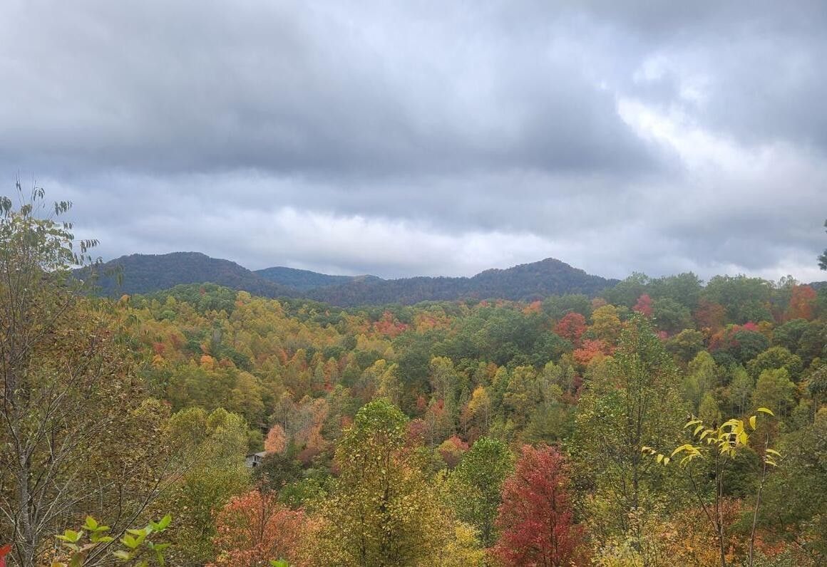 Keokee, Lee County, VA Undeveloped Land for sale Property ID 418112457