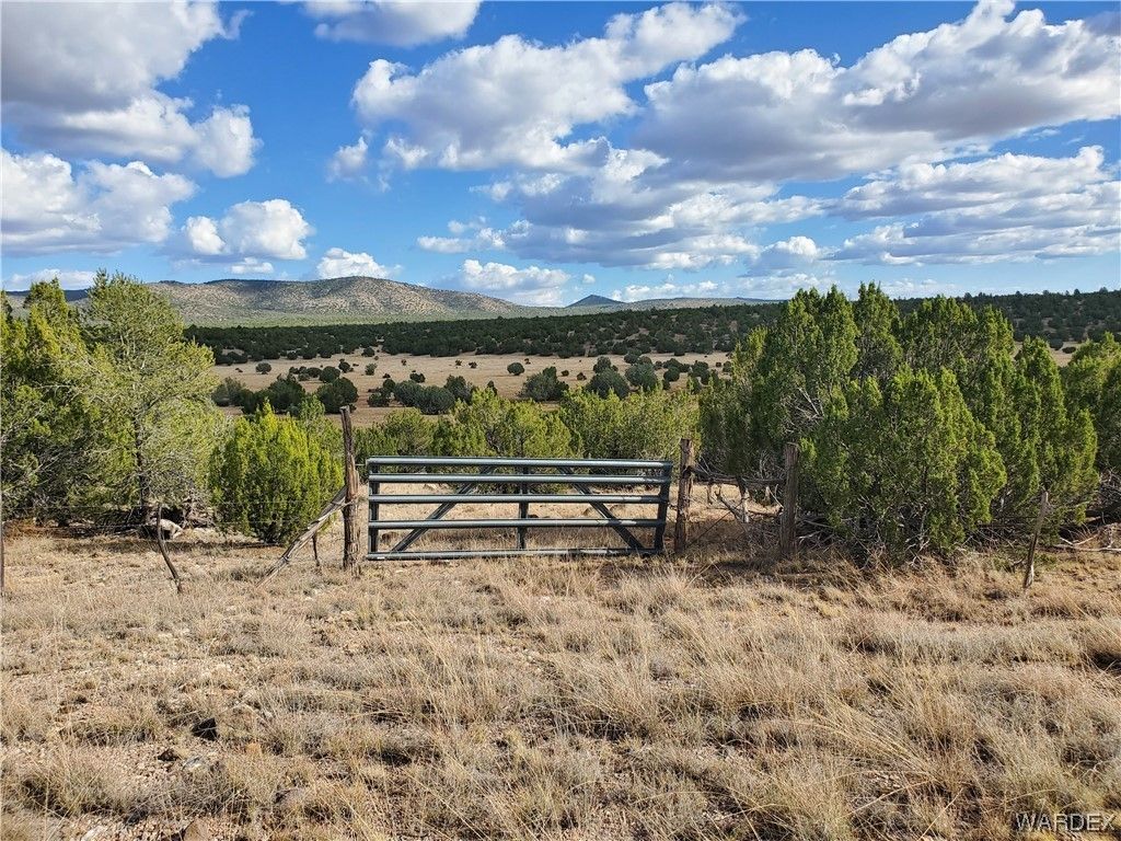 Seligman, Yavapai County, AZ Farms and Ranches for sale Property ID