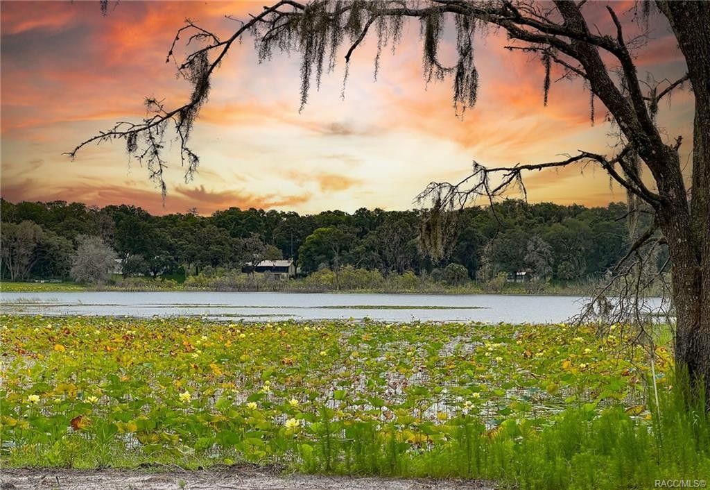Inverness, Citrus County, FL Undeveloped Land, Lakefront Property