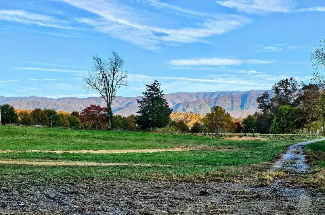 Greeneville, Greene County, TN Undeveloped Land, Lakefront Property
