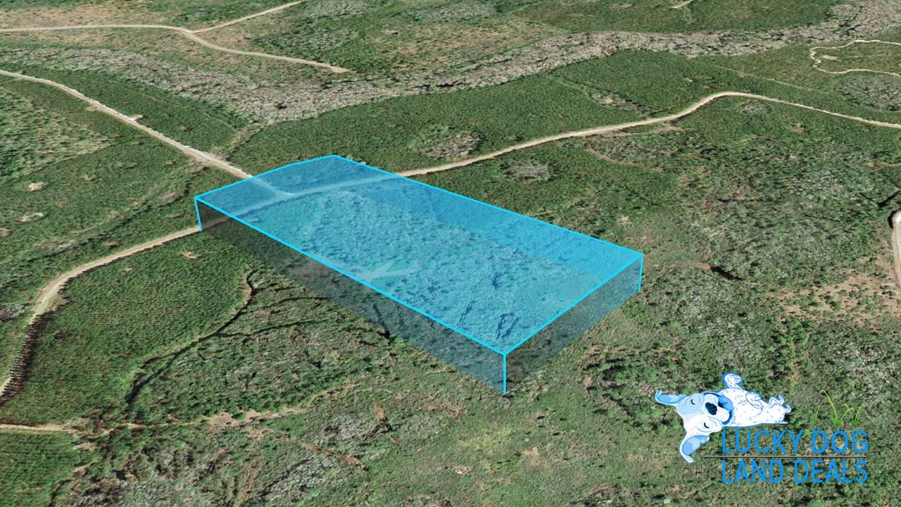 Greenville, Taylor County, FL Recreational Property, Undeveloped Land for sale Property ID