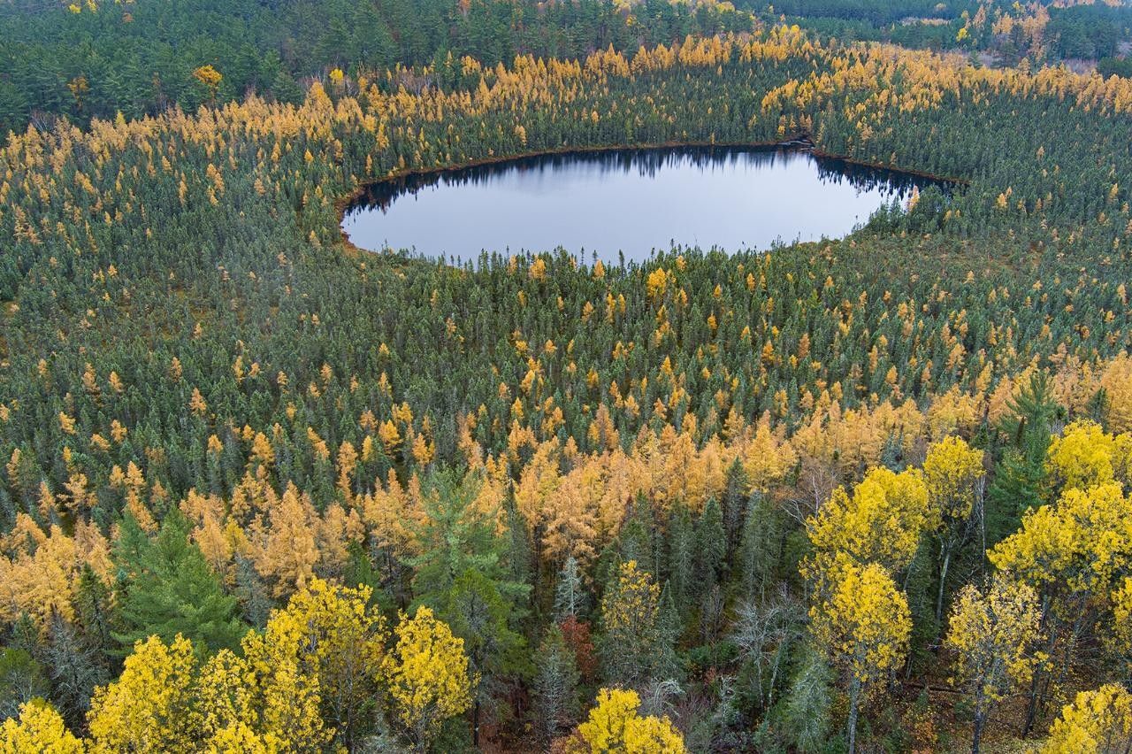 Conover, Vilas County, WI Undeveloped Land for sale Property ID