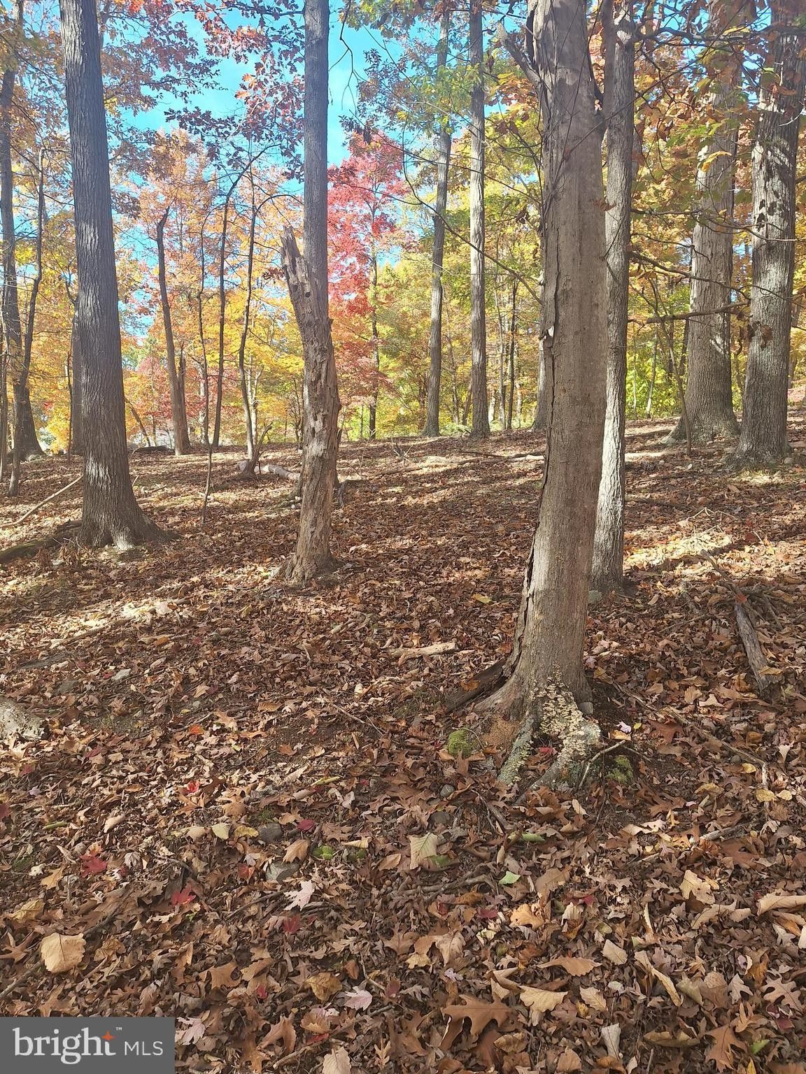 Harpers Ferry, Jefferson County, WV Undeveloped Land, Homesites for