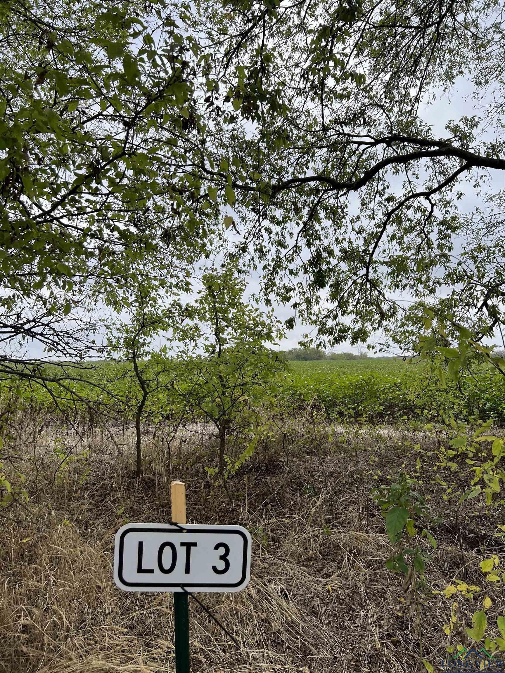 Greenville, Hunt County, TX Undeveloped Land for sale Property ID