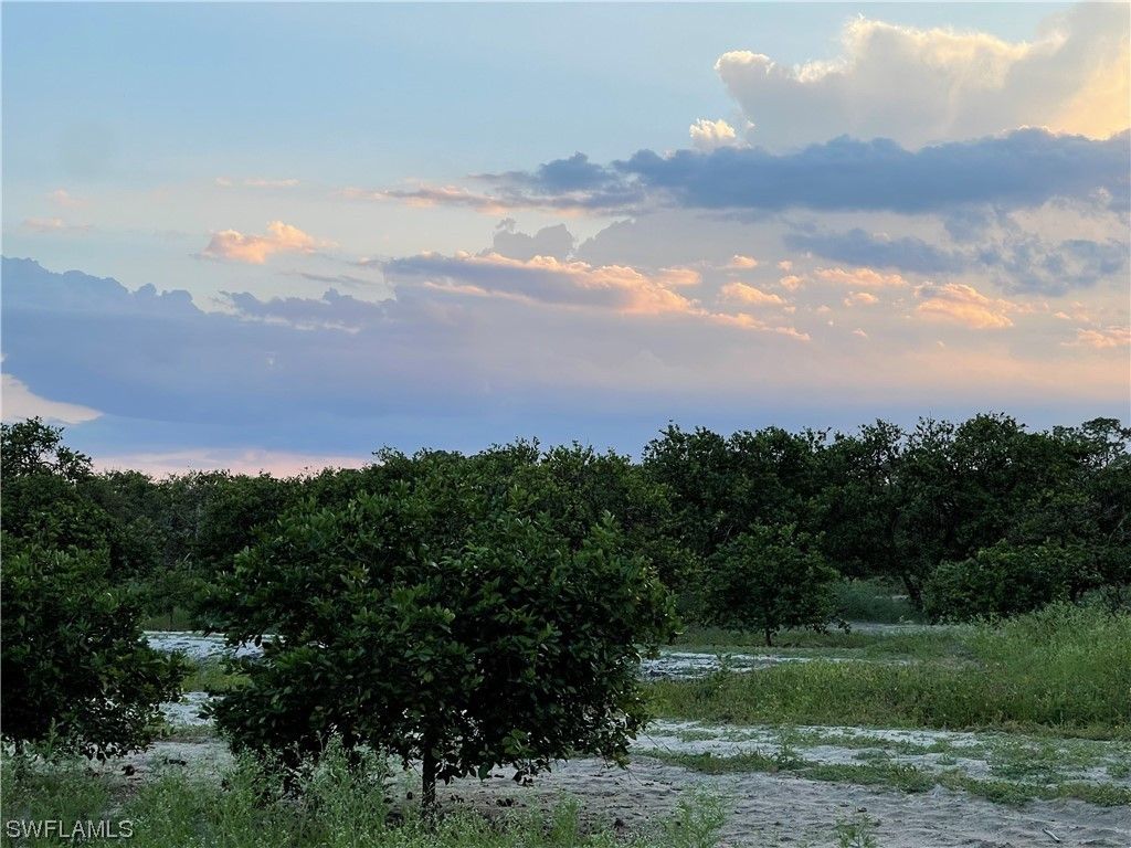 Labelle, Hendry County, FL Undeveloped Land, Lakefront Property