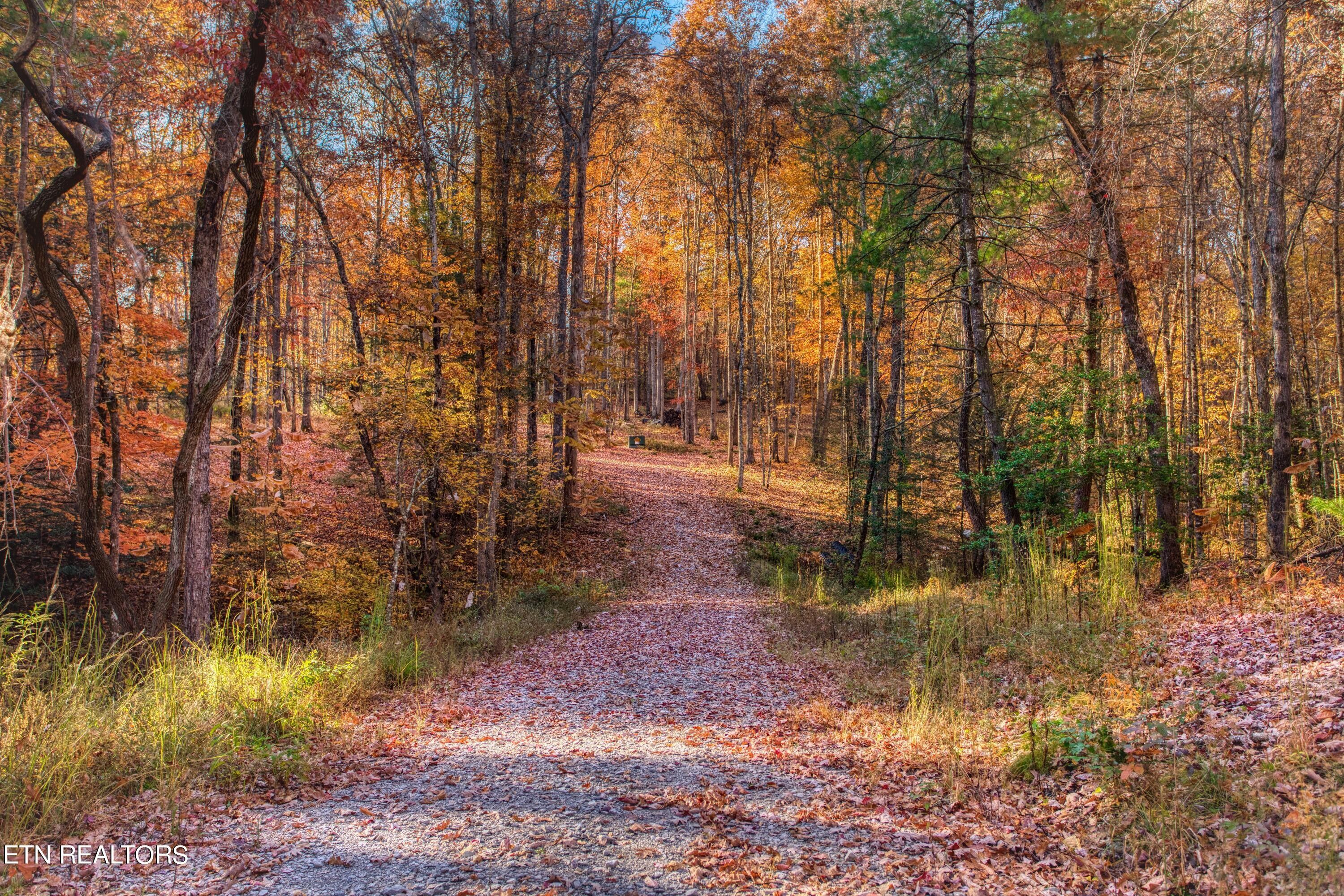Allardt, Fentress County, TN Undeveloped Land for sale Property ID