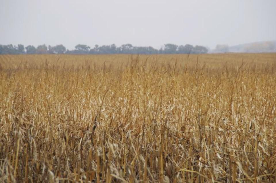 Ord, Valley County, NE Farms and Ranches for sale Property ID