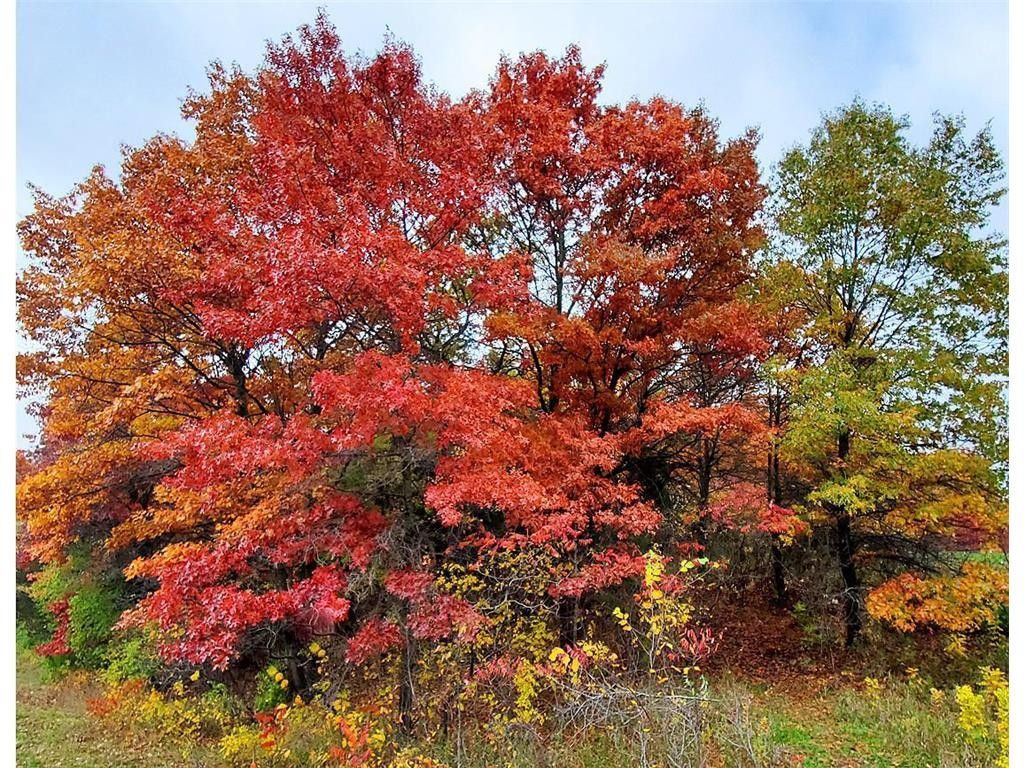 North Branch, Chisago County, MN Undeveloped Land, Homesites for sale