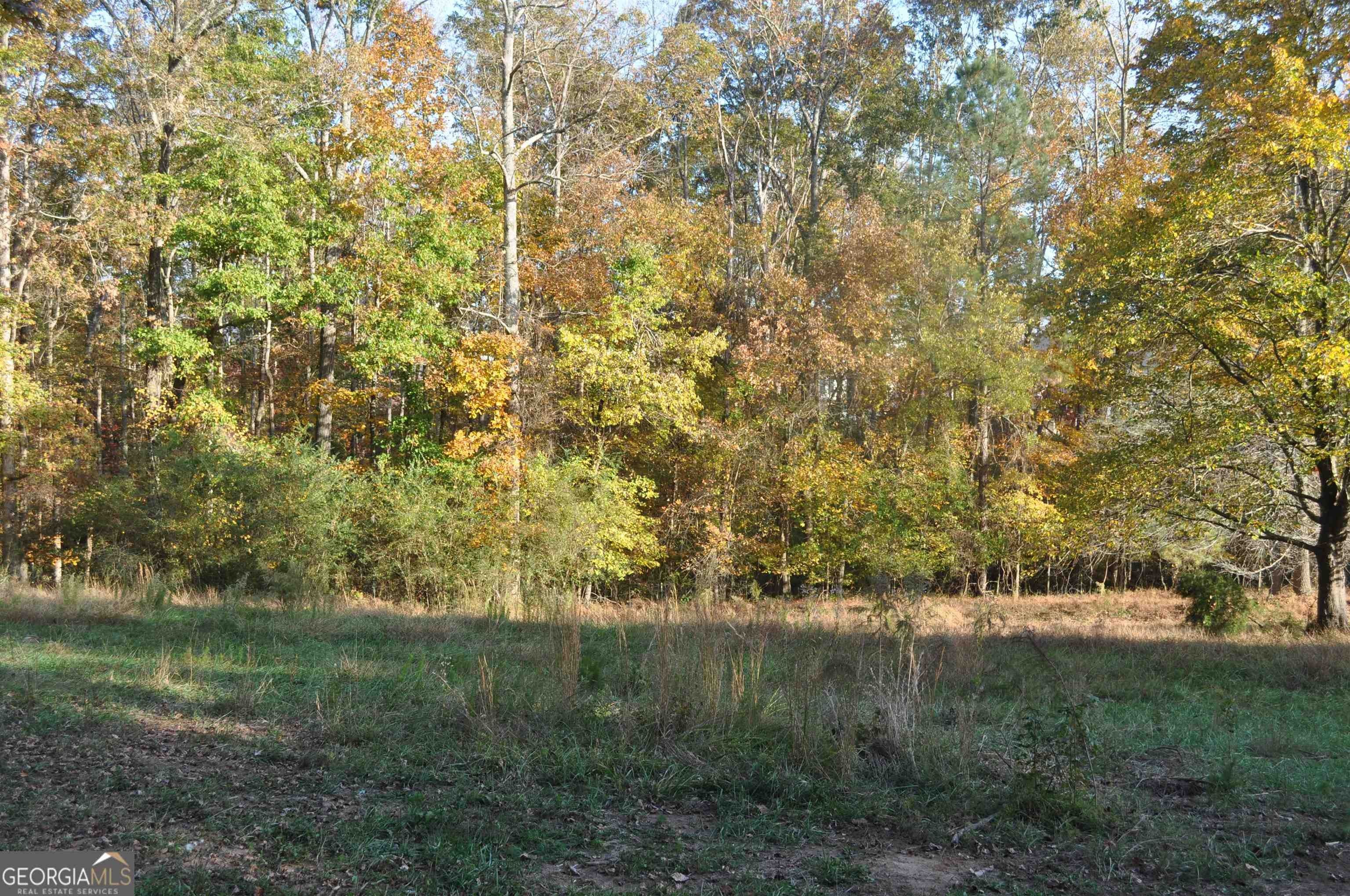 Cumming, Forsyth County, GA Undeveloped Land, Homesites for sale