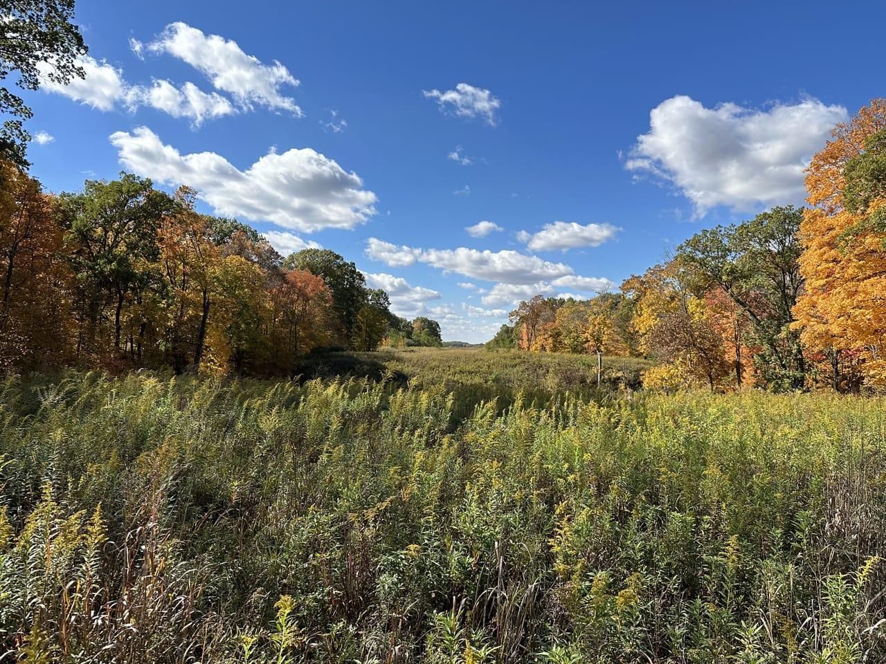 Astoria, Fulton County, IL Farms and Ranches, Recreational Property