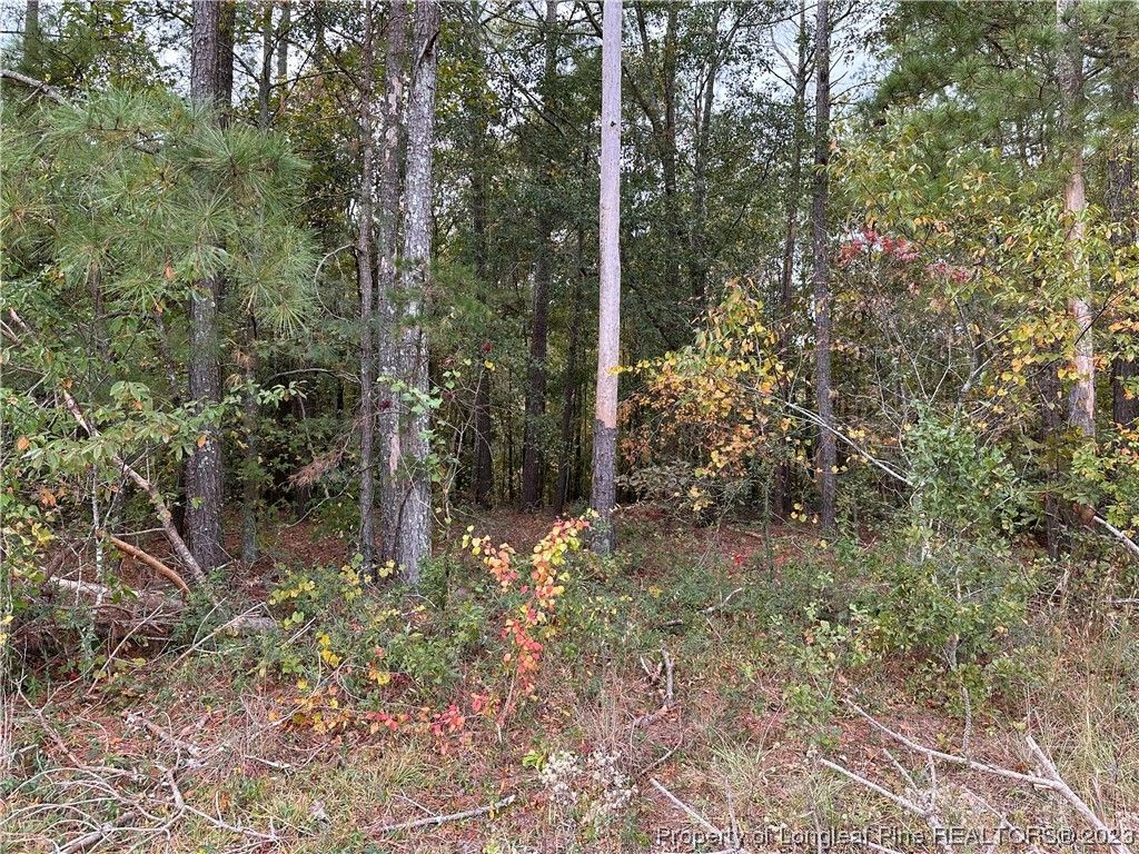 Lumberton, Robeson County, NC Undeveloped Land for sale Property ID