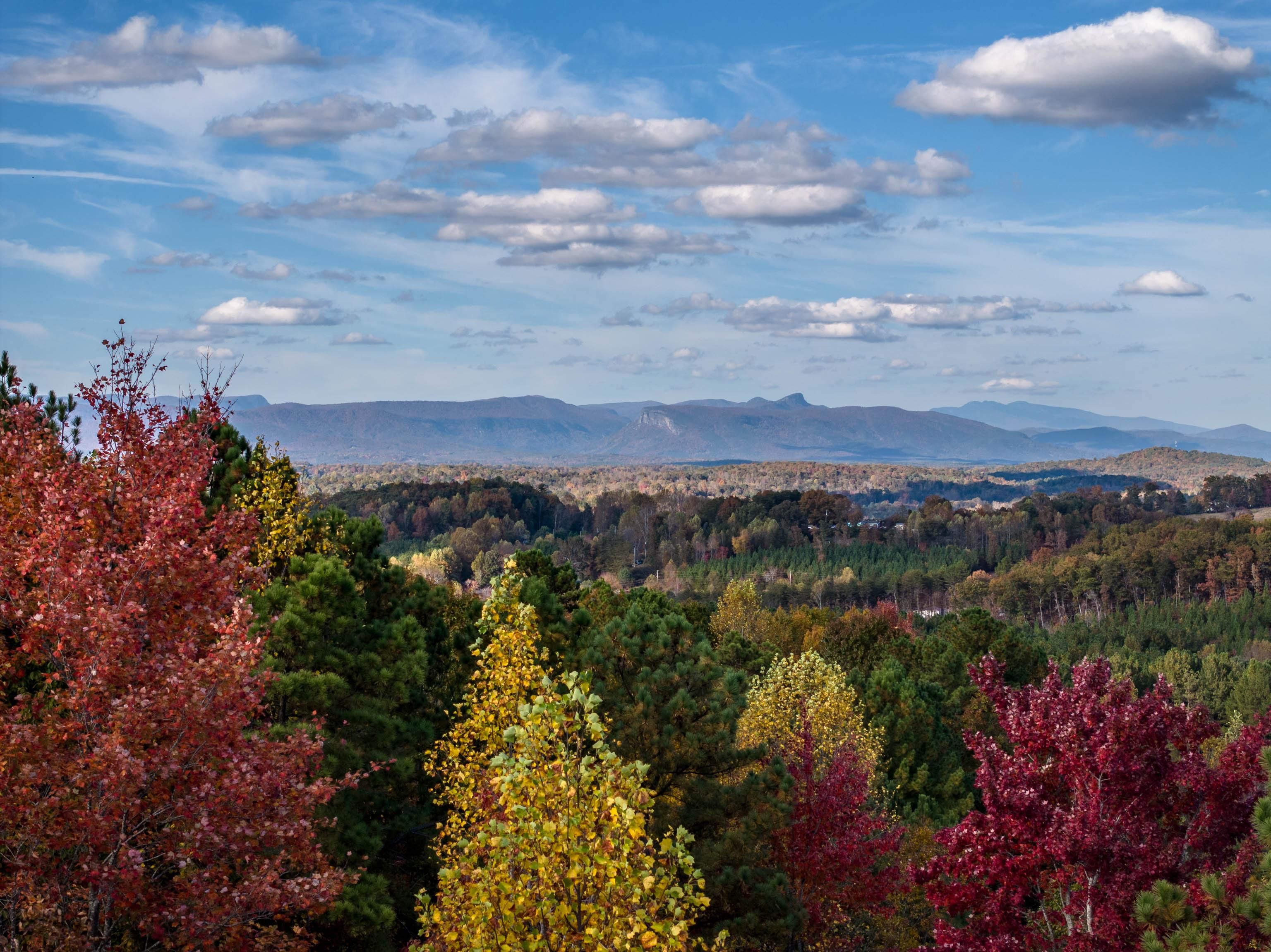 Nebo, McDowell County, NC Farms and Ranches, Horse Property for sale