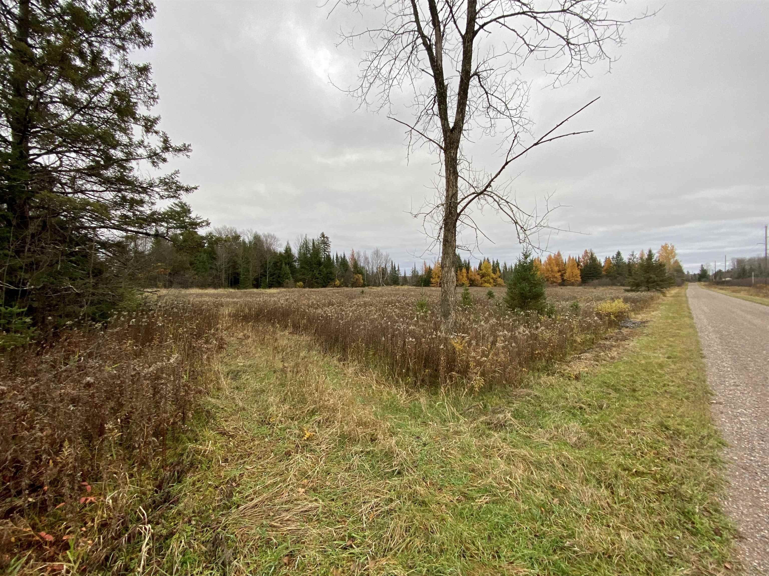 Ogema, Price County, WI Undeveloped Land for sale Property ID